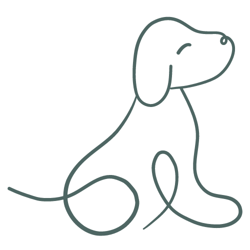 Dog Breeds Itsadoggyworld dog-breeds-itsadoggyworld